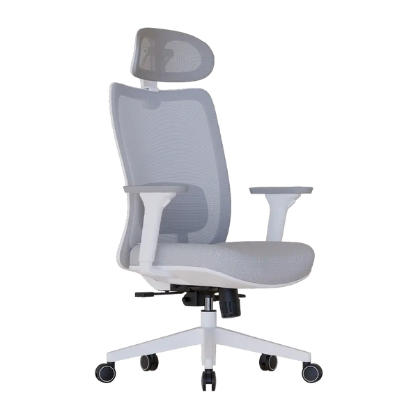 Cadeira Ergonômica Elements Astra Pro