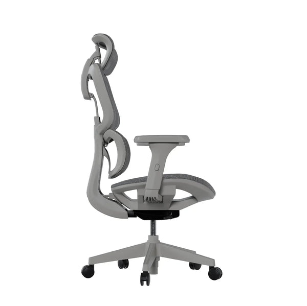 Cadeira Ergonômica Elements Siggy